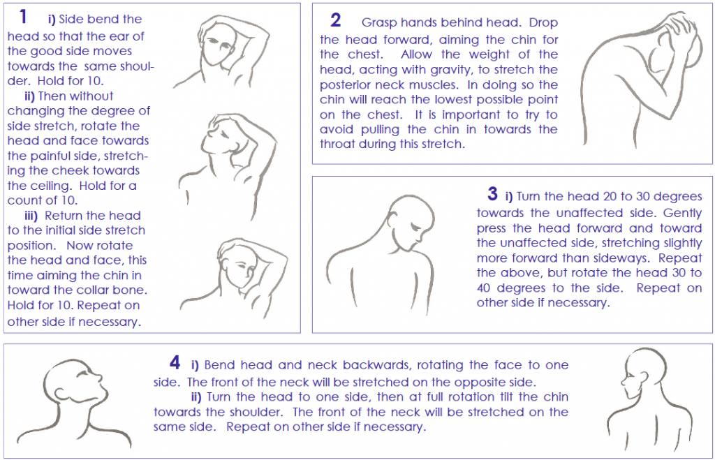 11 Stretches to Relieve Neck and Shoulder Tension / Bright Side